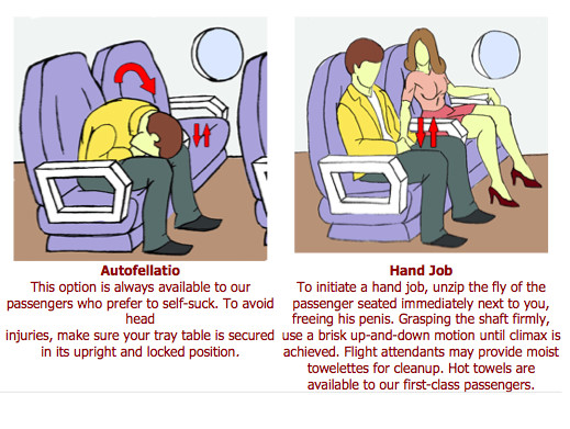 Airplane Sex Guide 92
