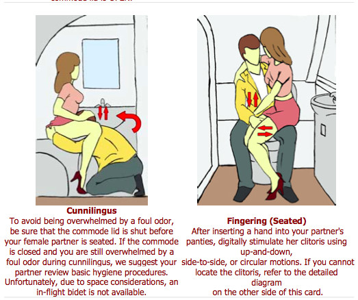 Airplane Sex Guide 18