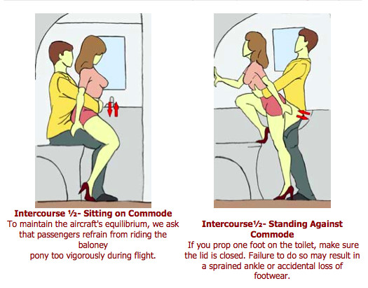 Airplane Sex Guide 66